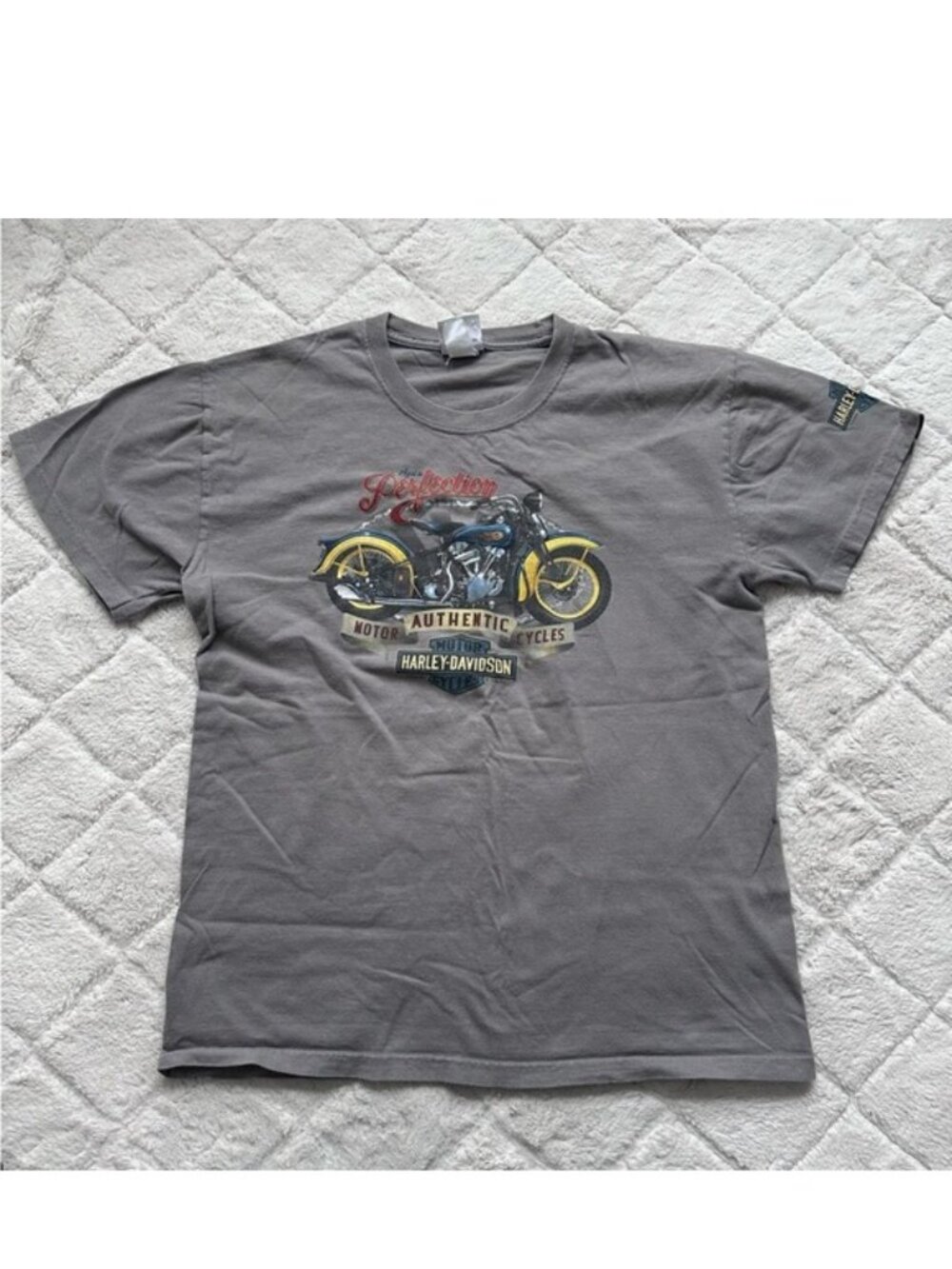 Harley Davidson Motorcycles | Graphic Bike Tee Short Sleeve | Size Medium